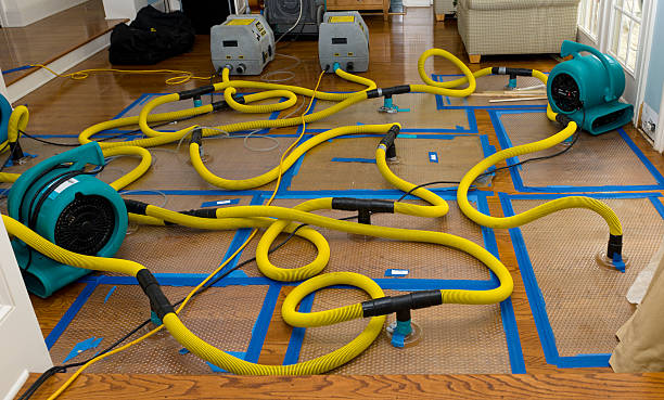 Professional Structural Drying And Dehumidification technician working in Plano, TX
